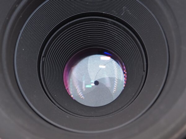 Nikon AF Micro Nikkor 60mm f/2.8 D *イ402-2 - 画像 (4)