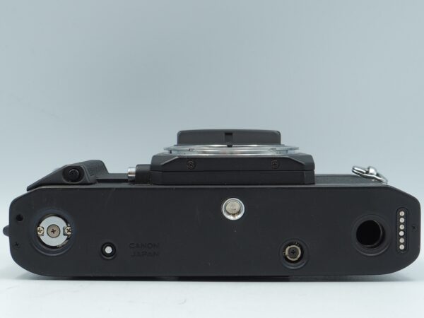 CANON NEW F-1 *イ404 - 画像 (7)