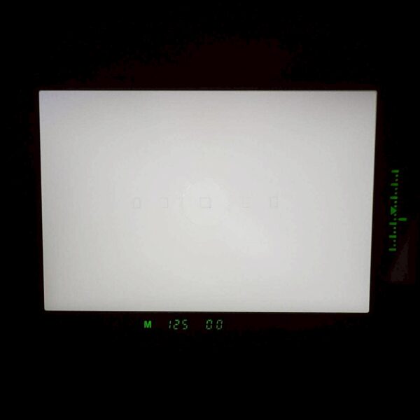 CANON EOS-1N  *イ487 - 画像 (9)