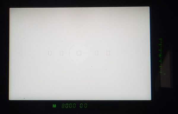 CANON EOS 1-N *イ652 - 画像 (9)